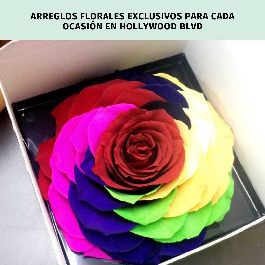 image-banner-widget-agent